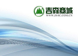 中國吉林森工集團網絡信息技術開發的戰略路徑與實踐探索